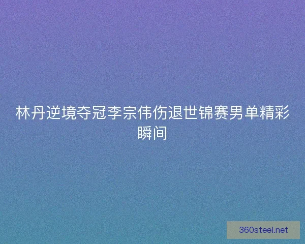 林丹逆境夺冠李宗伟伤退世锦赛男单精彩瞬间